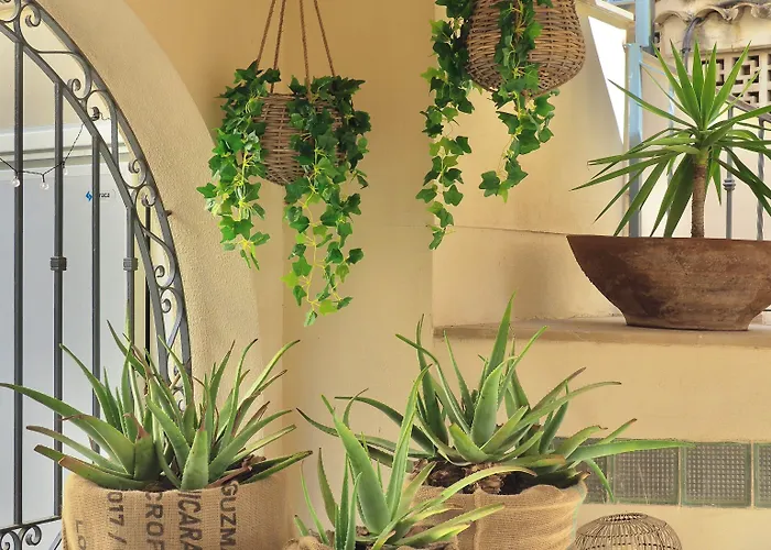 Flor Almendros Παγκουέρα