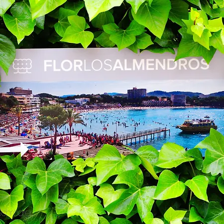Flor Almendros 3*