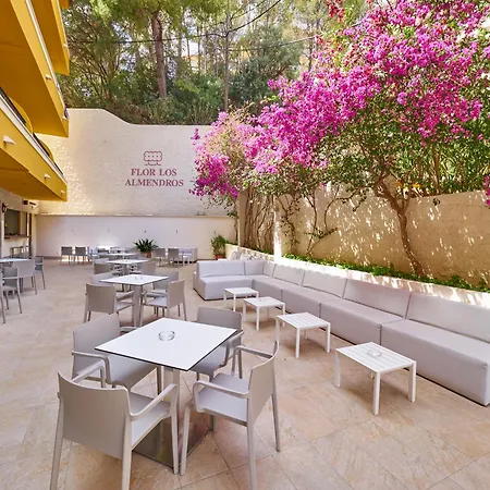 Flor Almendros Paguera