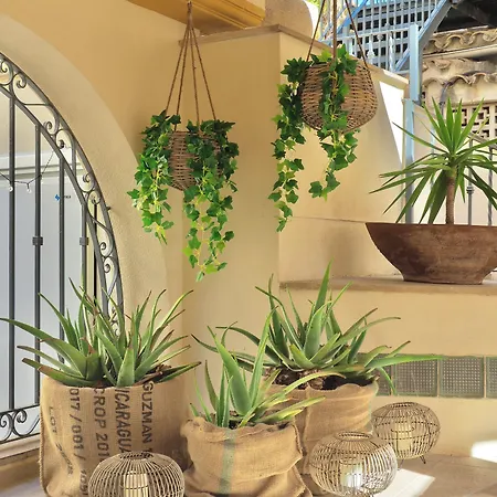 Flor Almendros Paguera