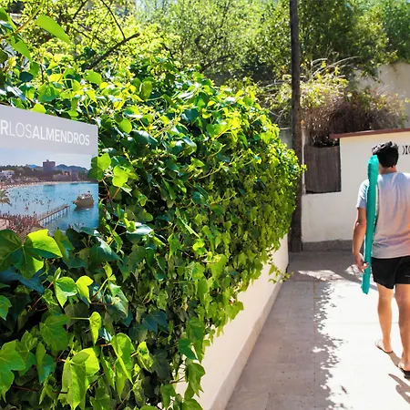 Flor Almendros 3* Peguera